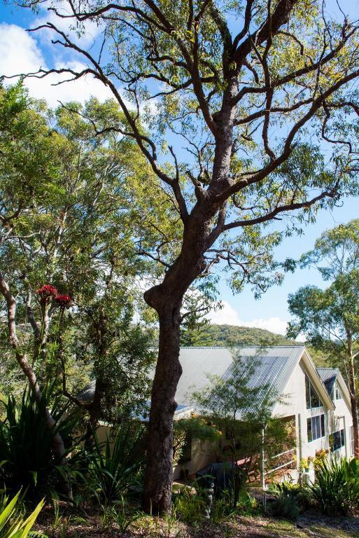 Nelson Bay Bed & Breakfast Eksteriør billede
