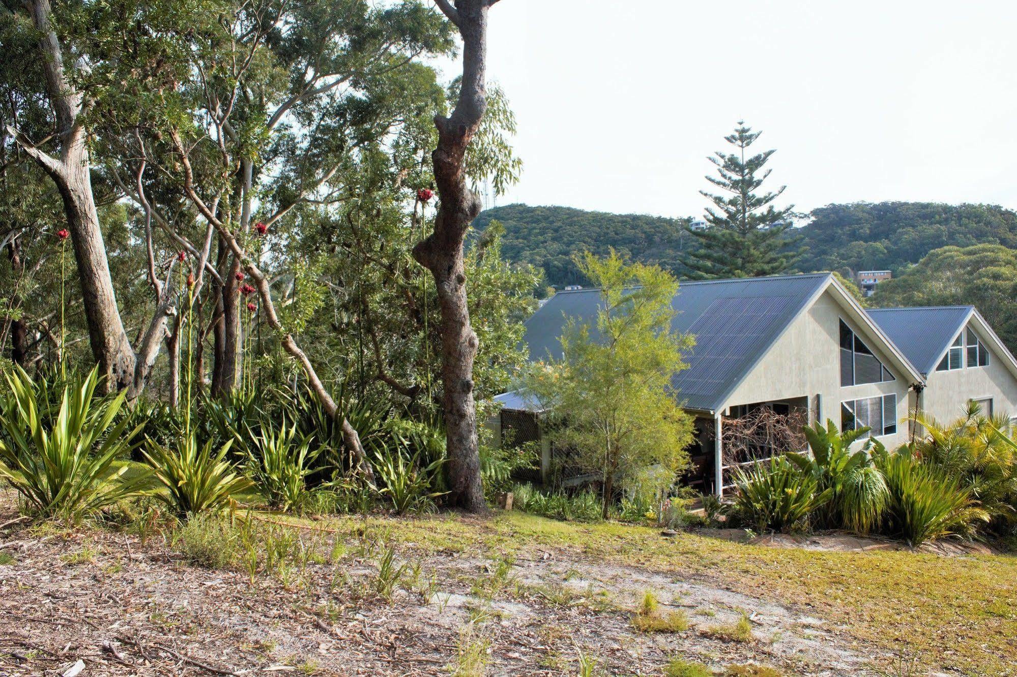 Nelson Bay Bed & Breakfast Eksteriør billede