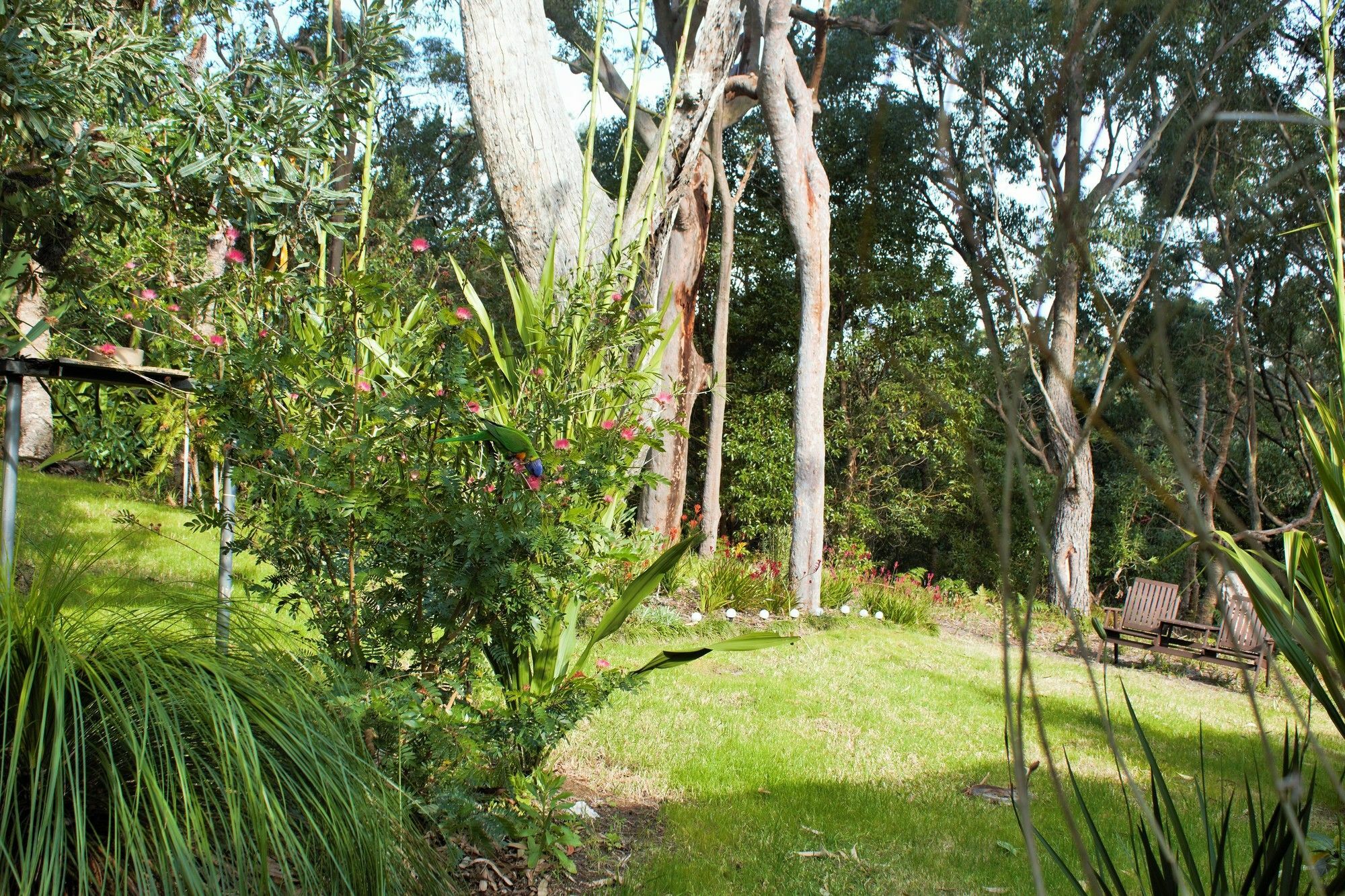 Nelson Bay Bed & Breakfast Eksteriør billede