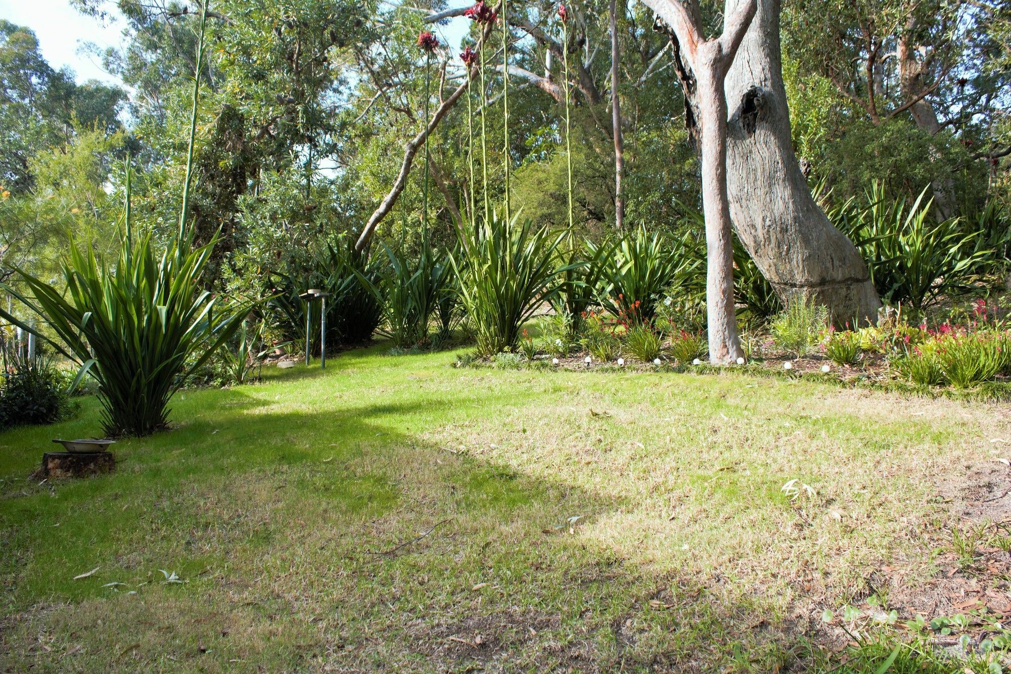 Nelson Bay Bed & Breakfast Eksteriør billede